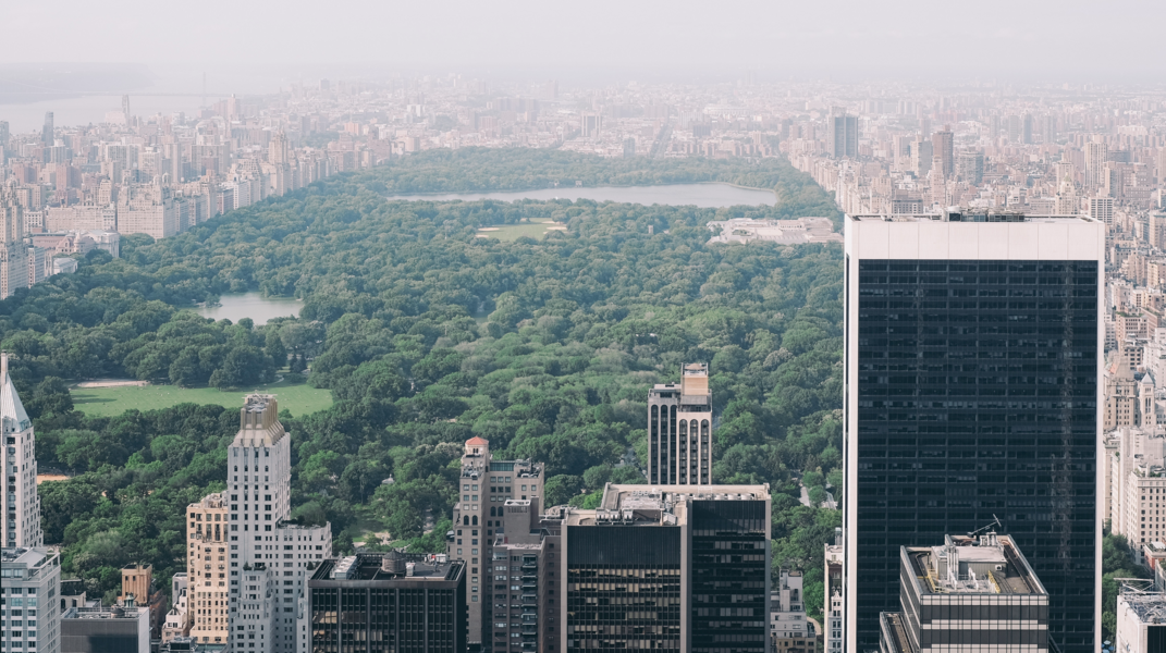 A view of Central Park as seen from 59th St.